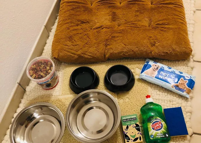 Haus Gerda 2 公寓 *